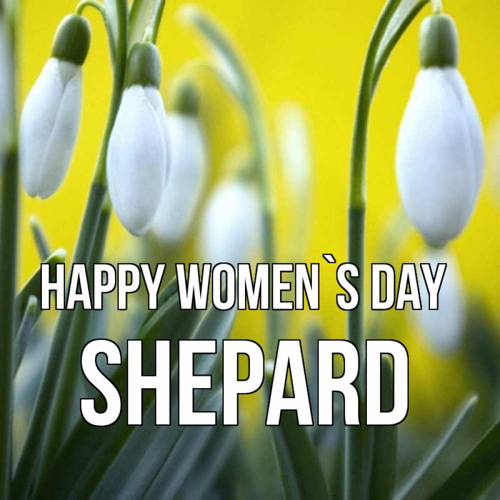 Greetings card с именем, Shepard happy women`s day весенние цветы Greetings with text for free download 